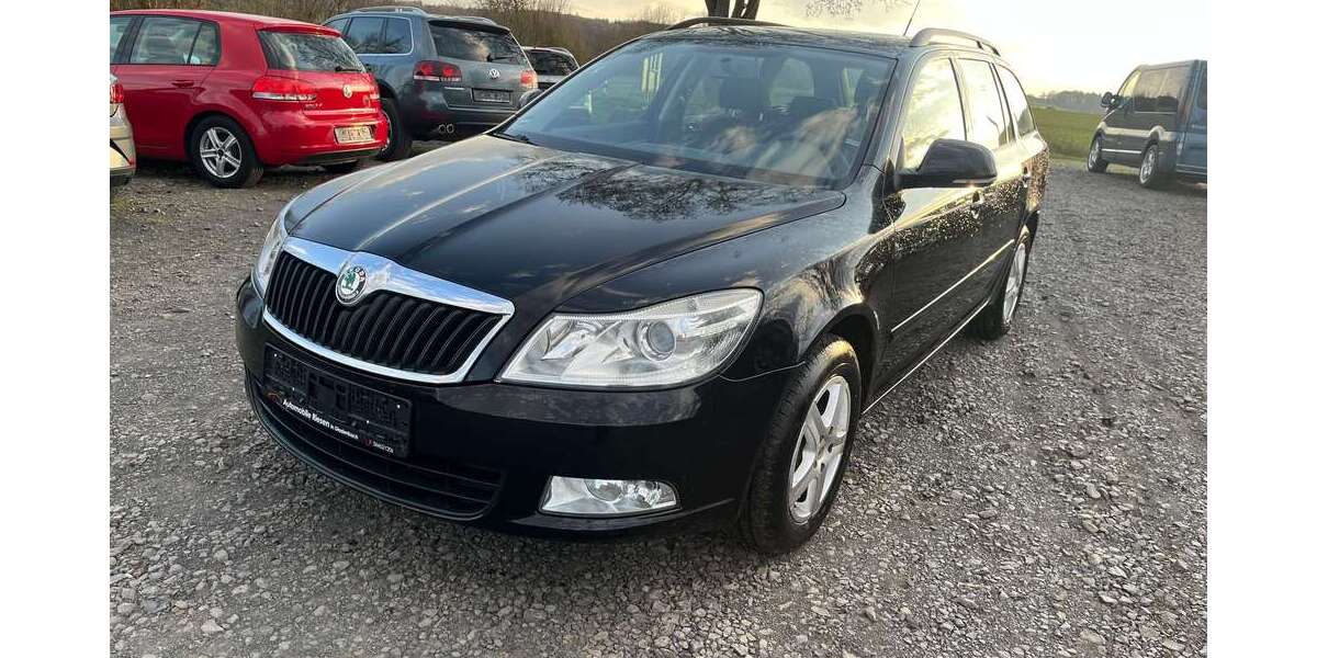 Skoda Octavia 179.265 km 4.399 &euro; Gladenbach 35075