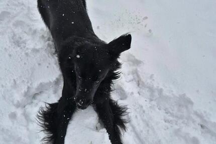 Haus Solms - 1.000&euro; | Angebot:24562811