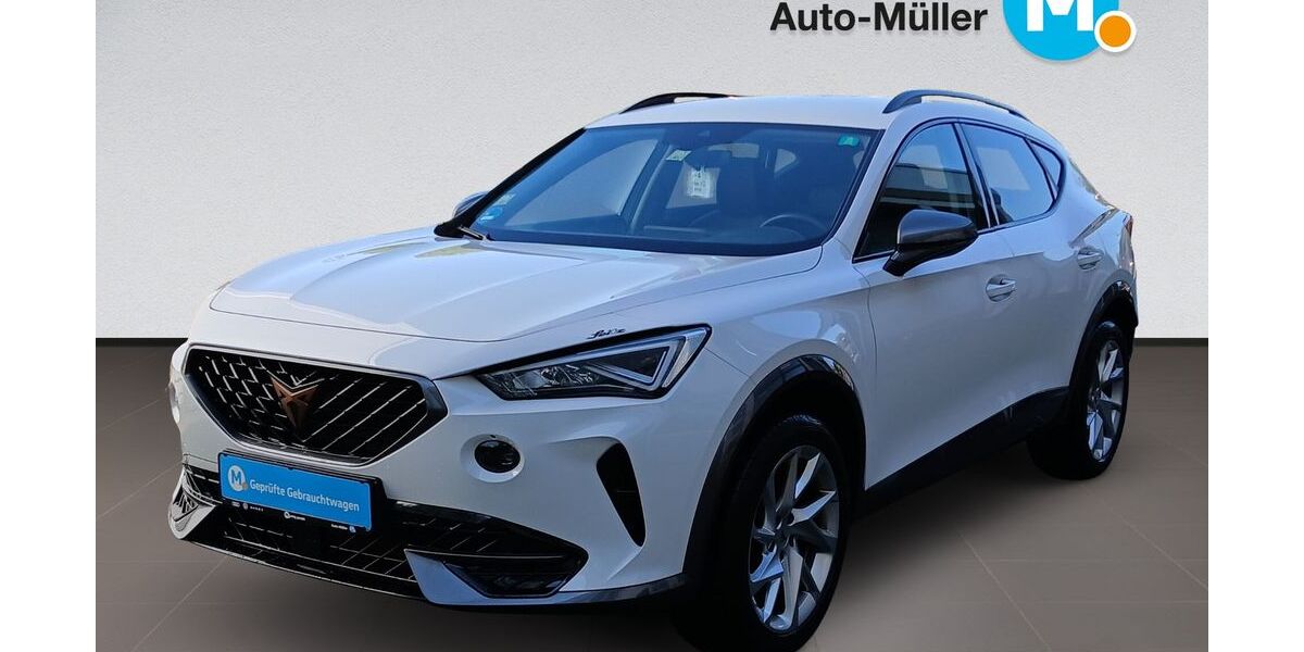 Cupra Formentor 43.051 km 20.280 &euro; Hüttenberg-Rechtenbach 35625