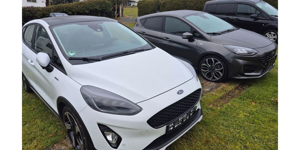 Ford Fiesta 12.500 km 17.990 &euro; Merenberg 35799