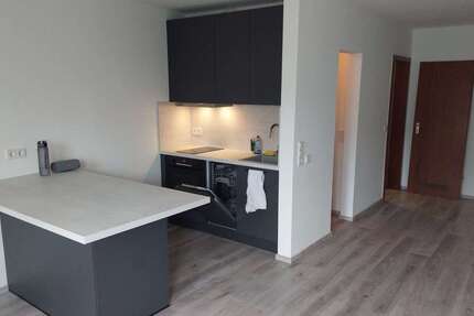 Wohnung Gießen - 1 Zimmer, 30 m&sup2;, 565&euro; | Angebot:26274702