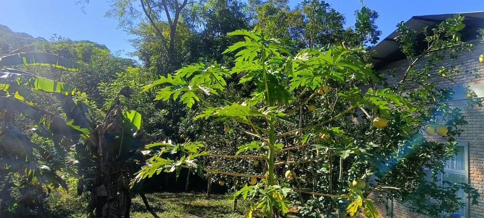 Einfamilienhaus Gießen Anneröder Siedlung - 70.000&euro; | Angebot:21249000