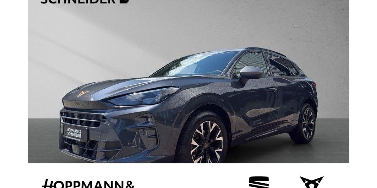 Cupra Terramar 26.218 km 33.950 &euro; Dillenburg 35683