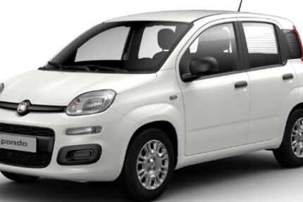 Fiat Panda 6.000 km 14.485 &euro; Pohlheim 35415