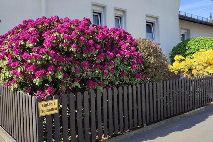 Haus Braunfels - 5 Zimmer, 120 m&sup2;, 379.000&euro; | Angebot:26926524