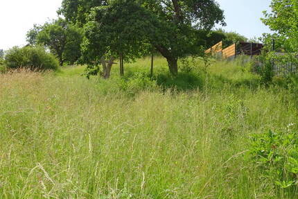 Grundstück Weilrod Gemünden - 49.000&euro; | Angebot:25672927