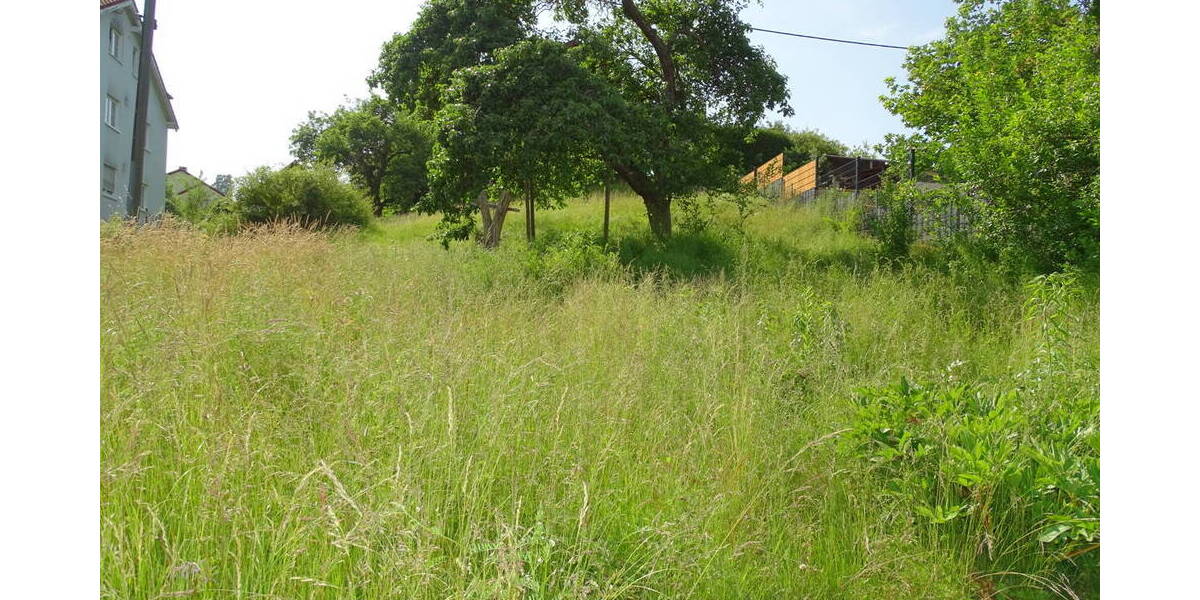 Grundstück Weilrod Gemünden - 49.000&euro; | Angebot:25672927