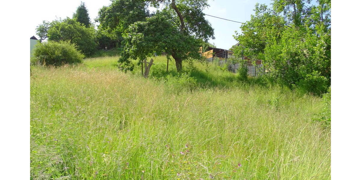 Grundstück Weilrod Gemünden - 49.000&euro; | Angebot:25672927