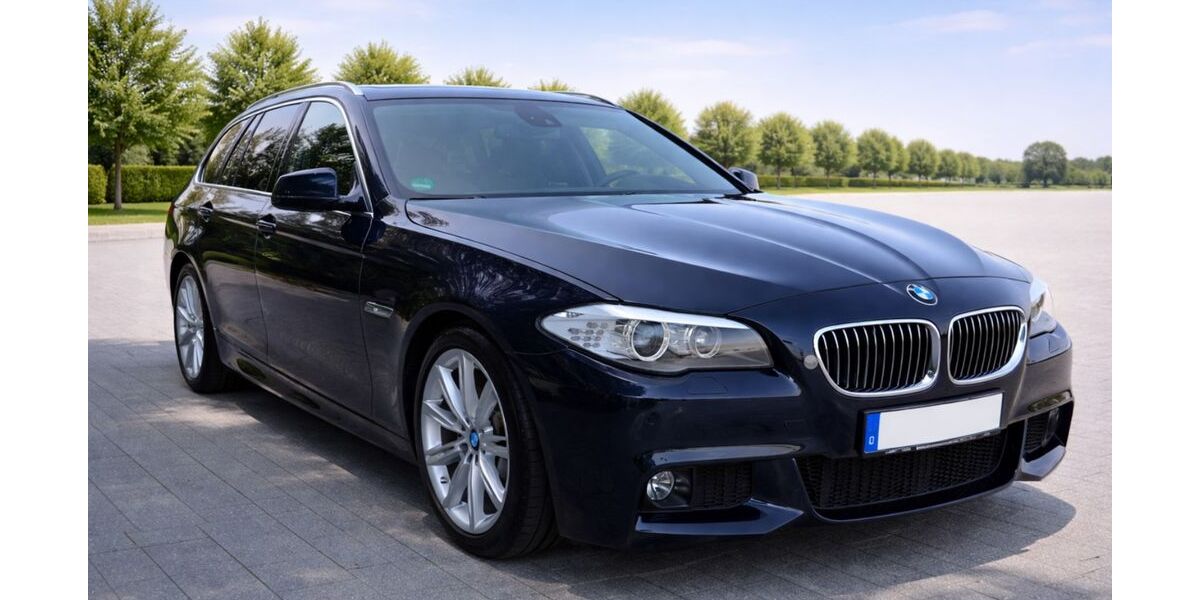 BMW 525 224.000 km 7.999 &euro; Lollar 35457