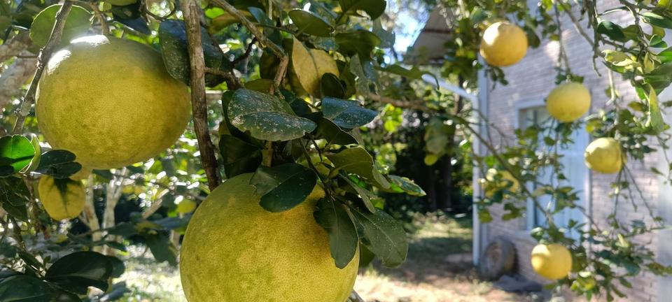 Einfamilienhaus Gießen Anneröder Siedlung - 70.000&euro; | Angebot:21249000