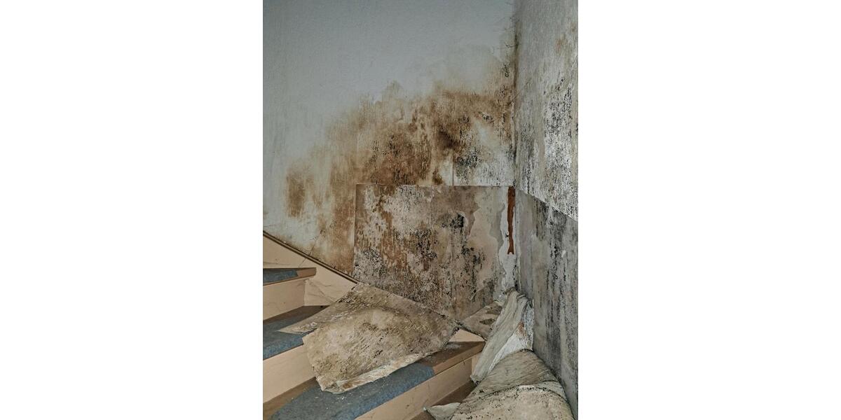 Einfamilienhaus Herborn - 13 Zimmer, 350 m&sup2;, 175.000&euro; | Angebot:26187043