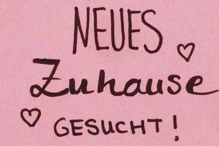 Wohnung Schöffengrund - 3 Zimmer, 70 m&sup2;, 900&euro; | Angebot:25545797