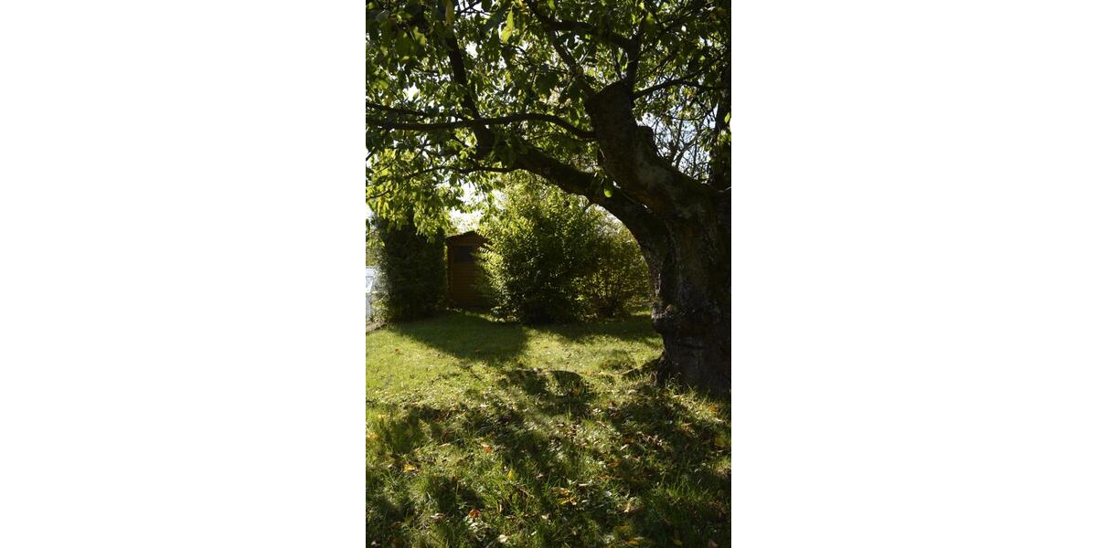 Mehrfamilienhaus, Wohnhaus Staufenberg - 11 Zimmer, 339 m&sup2;, 685.000&euro; | Angebot:24362675