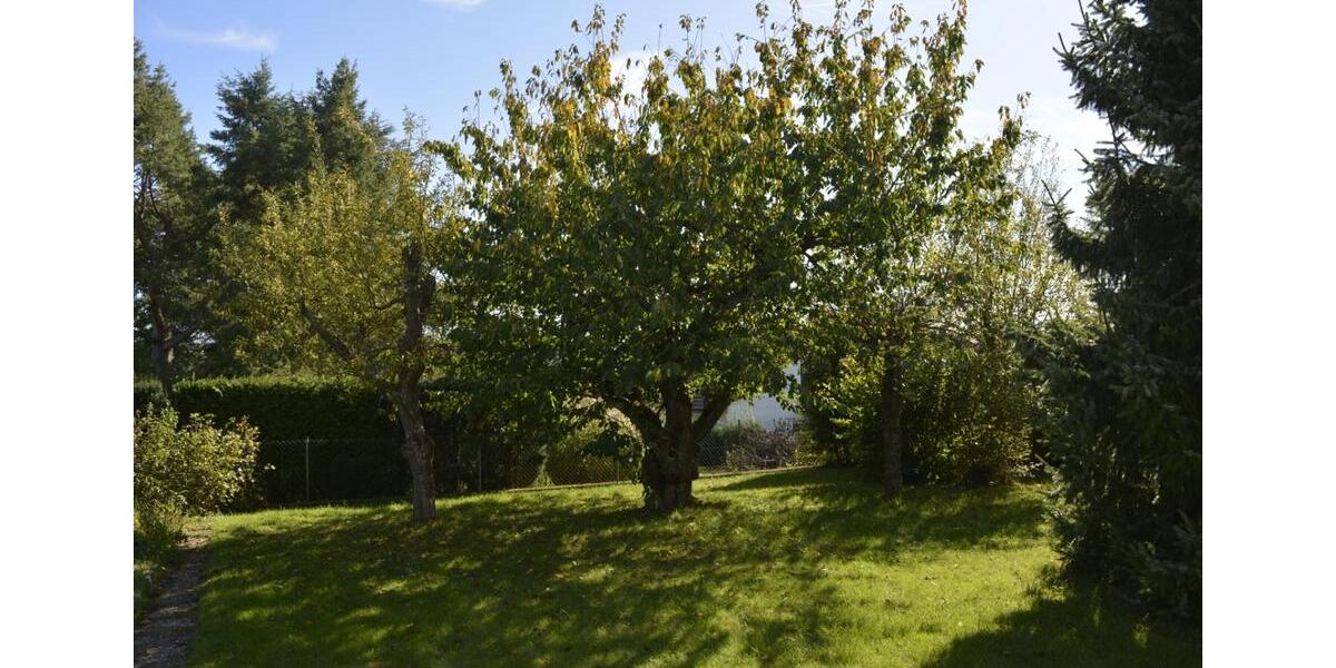 Mehrfamilienhaus, Wohnhaus Staufenberg - 11 Zimmer, 339 m&sup2;, 620.000&euro; | Angebot:26517187