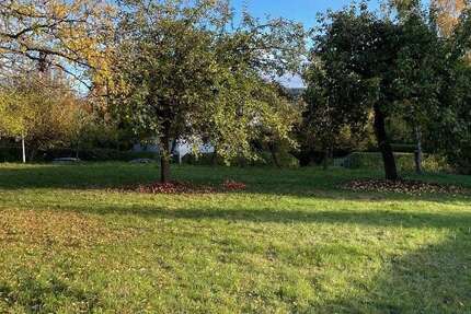 Grundstück Aßlar-OT OT - 114.000&euro; | Angebot:23331206