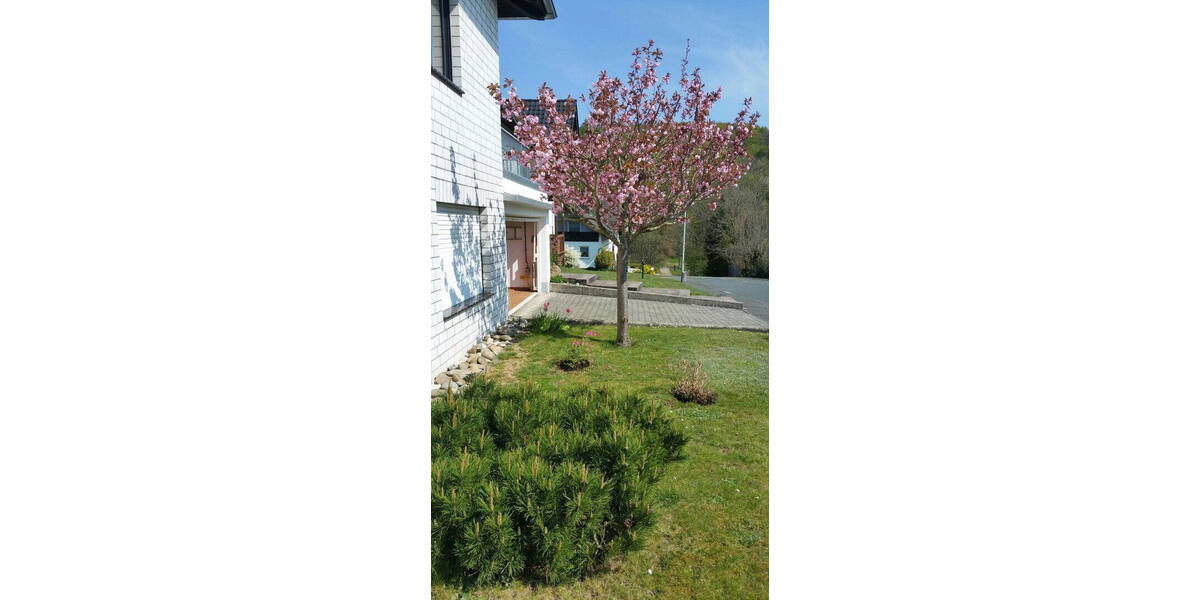 Einfamilienhaus Mengerskirchen-Dillhausen Dillhausen - 8 Zimmer, 283 m&sup2;, 512.000&euro; | Angebot:26023384