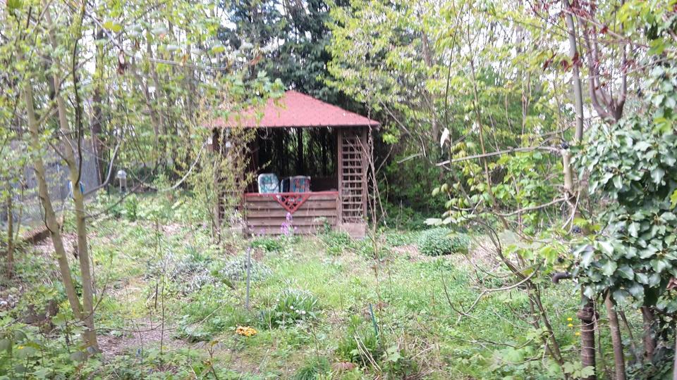 Einfamilienhaus Langgöns - 445.000&euro; | Angebot:26235375