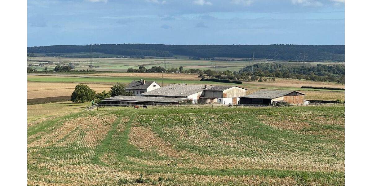 Mehrfamilienhaus, Wohnhaus Münzenberg Ober-Hörgern - 5 Zimmer, 162 m&sup2;, 785.000&euro; | Angebot:25740956