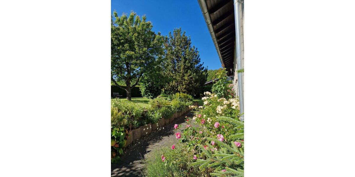 Einfamilienhaus Mengerskirchen-Dillhausen Dillhausen - 8 Zimmer, 283 m&sup2;, 512.000&euro; | Angebot:26023384