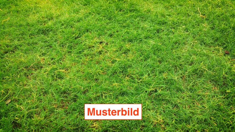 Grundstück Bad Nauheim - 299.000&euro; | Angebot:26824571