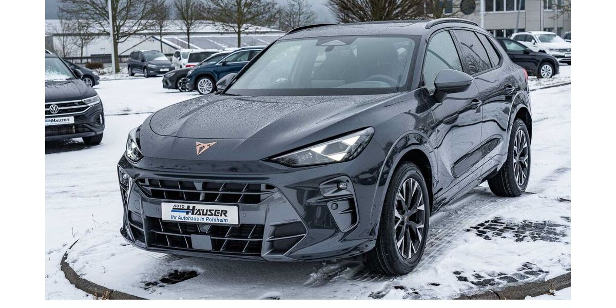 Cupra Terramar 9.000 km 41.985 &euro; Pohlheim 35415