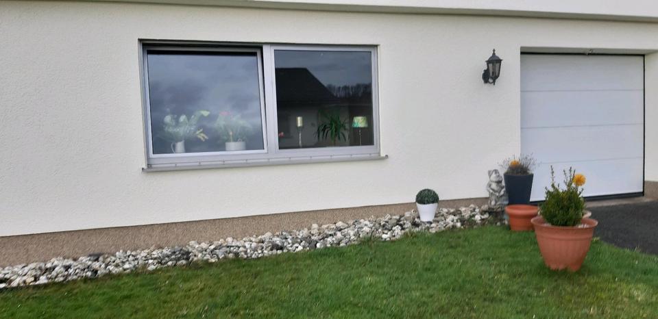 Erdgeschoßwohnung Haiger - 2 Zimmer, 75 m&sup2;, 650&euro; | Angebot:25650728